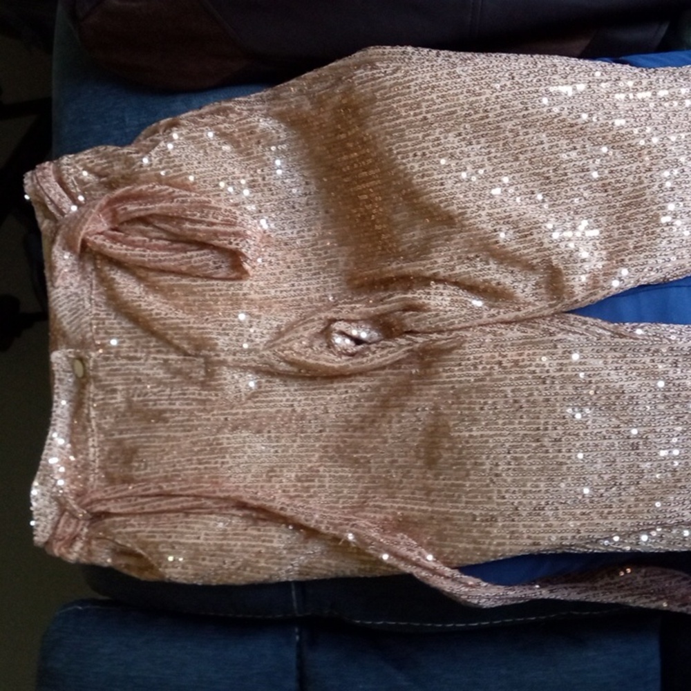 Brand new beautiful glitter slacks for evening wear. The size is an eight.